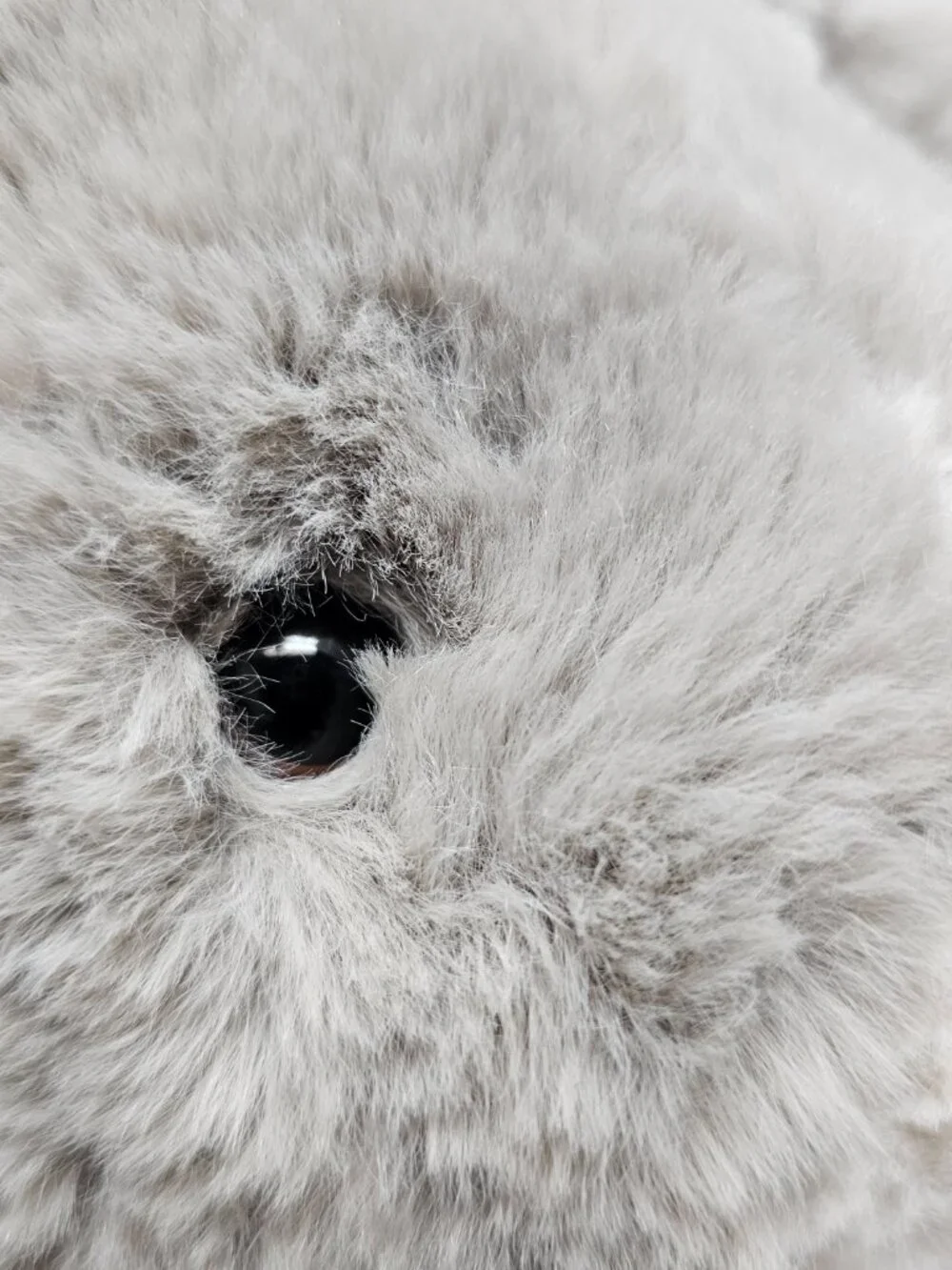 Rabbit Bunny Weighted Button Closure Plush Soft Gray Cream Animal KM 2330